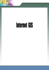 (교통주제도 2차 세미나) Internet GIS